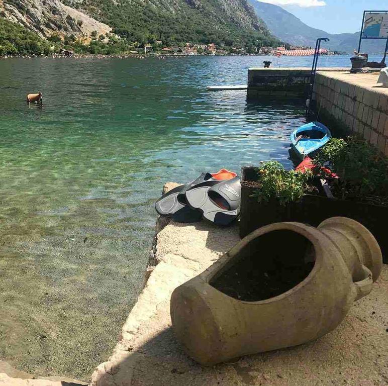 Apartment Lukiduki At The Beach - Kotor Exterior foto